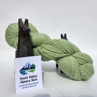 Bright Green Alpaca Yarn 2-Ply Worsted 