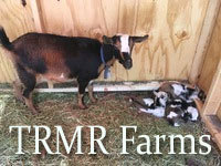 Tr-Mr Farms - Logo