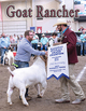 Featured in the July issue of Goat Rancher (pages 42)