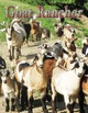 Featured in the March issue of Goat Rancher (pages 19 and 32).