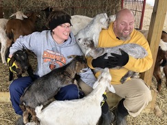 Goat pile on the ranchers