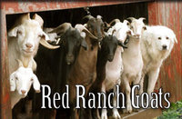 Red Ranch Goats - Logo