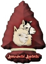 Arrowhead Alpacas - Logo