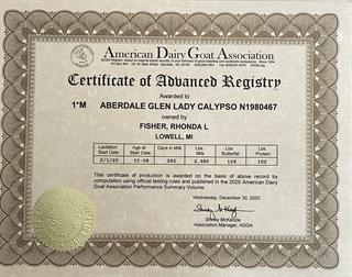 Calypso's AR Certificate earned as a FF