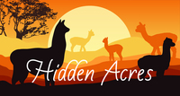 Alpacas of Hidden Acres - Logo