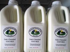 Pasteurized Goat Milk