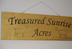 Treasured Sunrise Acres - Logo