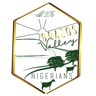 Brazos Valley Nigerians - Logo
