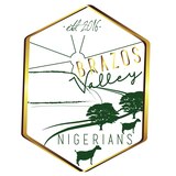Brazos Valley Nigerians goat farm 'branding'