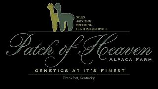 Patch of Heaven Alpaca Farm - Logo