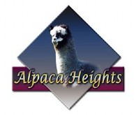 Alpaca Heights - Logo