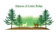 Alpacas of Cedar Ridge - Logo