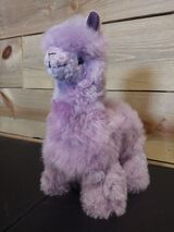 Purple Alpaca