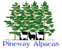 Pineway Alpacas - Logo