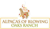 Blowing Oaks Ranch, LLC - Logo