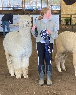 Cora taking home a blue ribbon with Laszlo at CABA 2022.