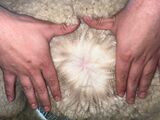 Belly 8 month fleece