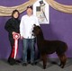 2017 The Futurity - 2nd Place