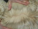 Queen's cria fleece 