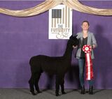 Futurity 2022