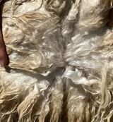 Juvie fleece