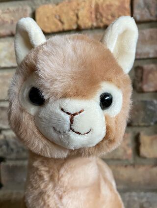 Photo of Premium Plush Alpaca 