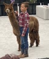 Dynamite in the show ring March 2024