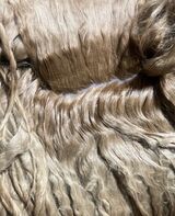 Wheldon's fleece at 4 months