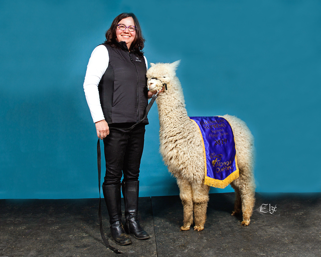 2019 Judge's Choice Alpaca Quebec