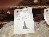 Loro Piana's Grid sample -First fleece