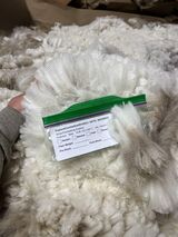 May 2023 Shearing-2nd fleece