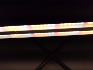 full spectrum LED grow light
