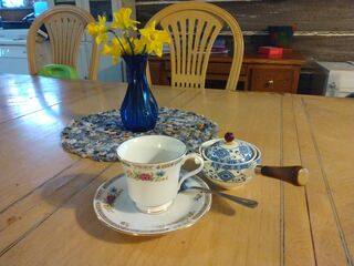 Enjoying the last daffodils over a cup of tea