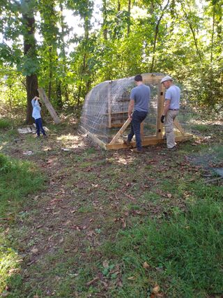 Hopeful of our hoop coop build