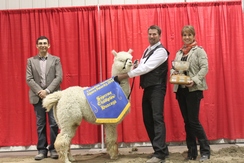 Supreme at the 2014 CNASF