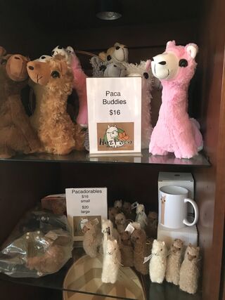 Fun Alpaca Gifts