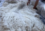 2026 Blanket