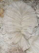 After shearing 2025
