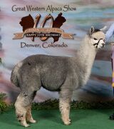 Sire: Neversummer's US Steel