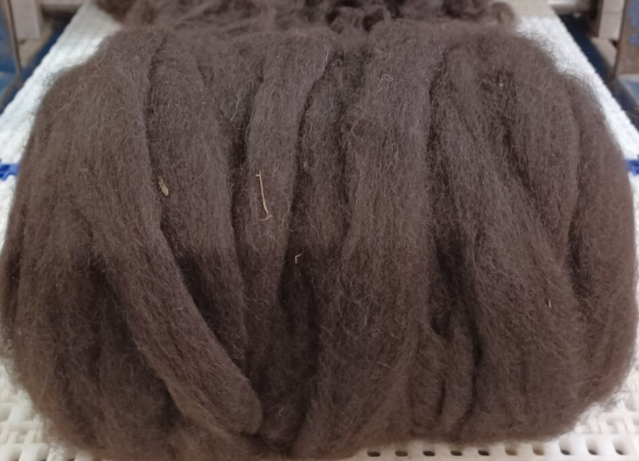 Brown Roving