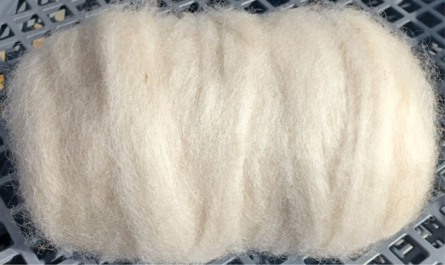 Cream/White Roving 7oz