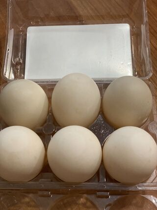 Photo of Duck Eggs