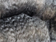 2016 Cria Fleece
