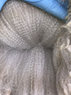 Fleece from 2015 Cria by Palladium