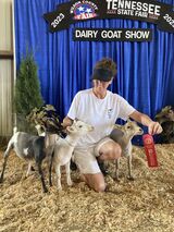 2nd Place Junior Dairy Herd TN State Fair 