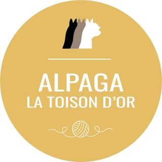 Alpaga la Toison d'Or