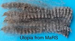 Photo of Utopia from MaRS