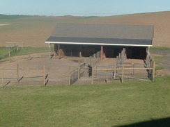 Our 3-sided barn for shelter