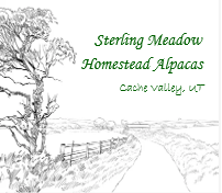 Sterling Meadow Homestead Alpacas