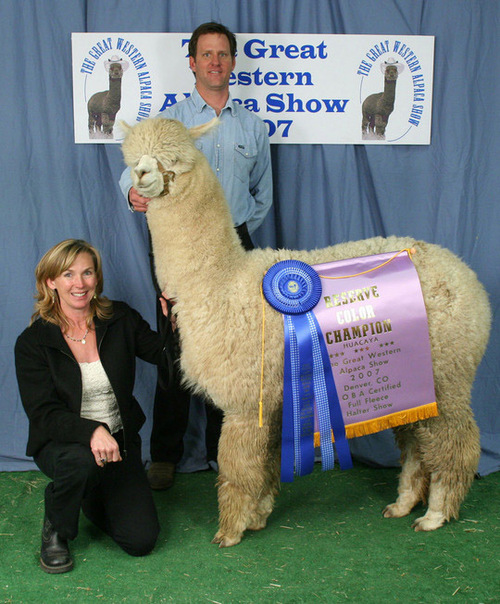 1st and RESERVE Color Champion, Great Western 2007